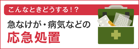 急なけが・病気などの応急処置