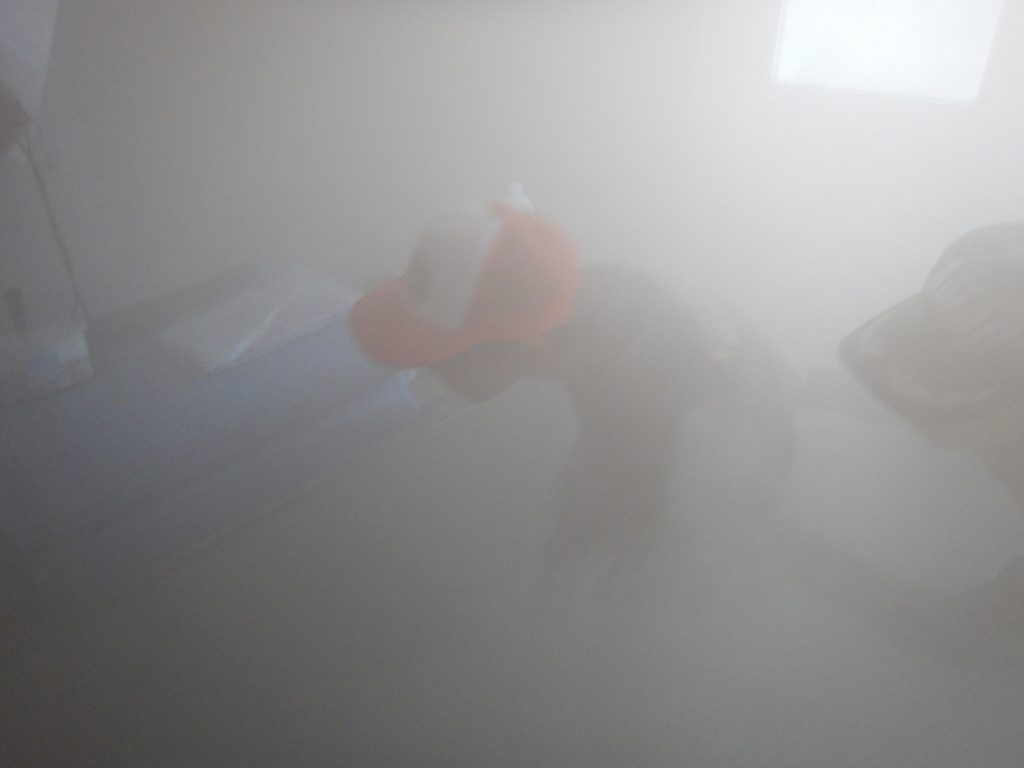 煙2
